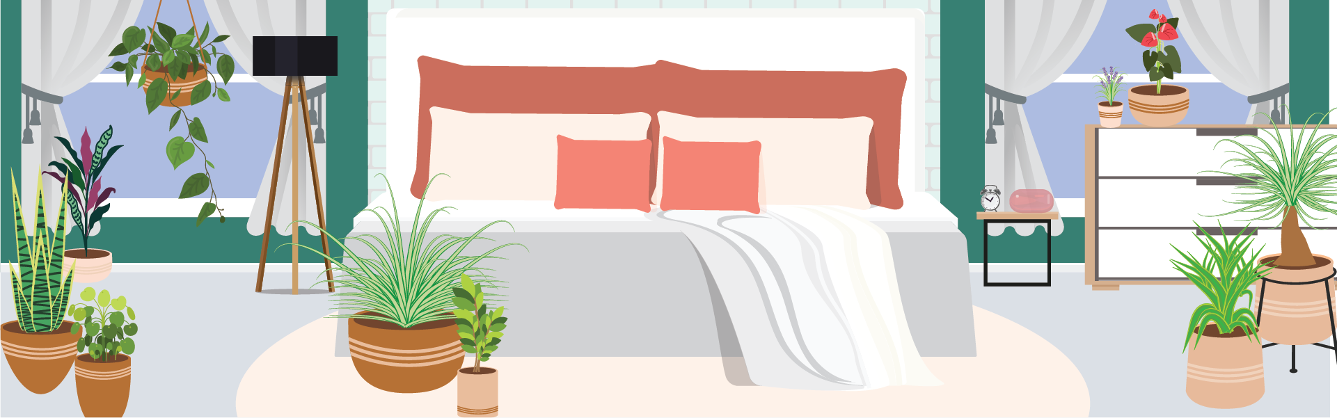 Find Out Which Bedroom Plants Will Work Best for You