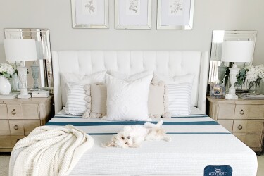 Small single No Headboard 75cm X 190cm No Drawers Bed Centre Silver Linen Memory Foam Divan Bed With Mattress Small single No Headboard 75cm X 190cm No Drawers Bed Centre Silver Linen Memory Foam Divan Bed With Mattress