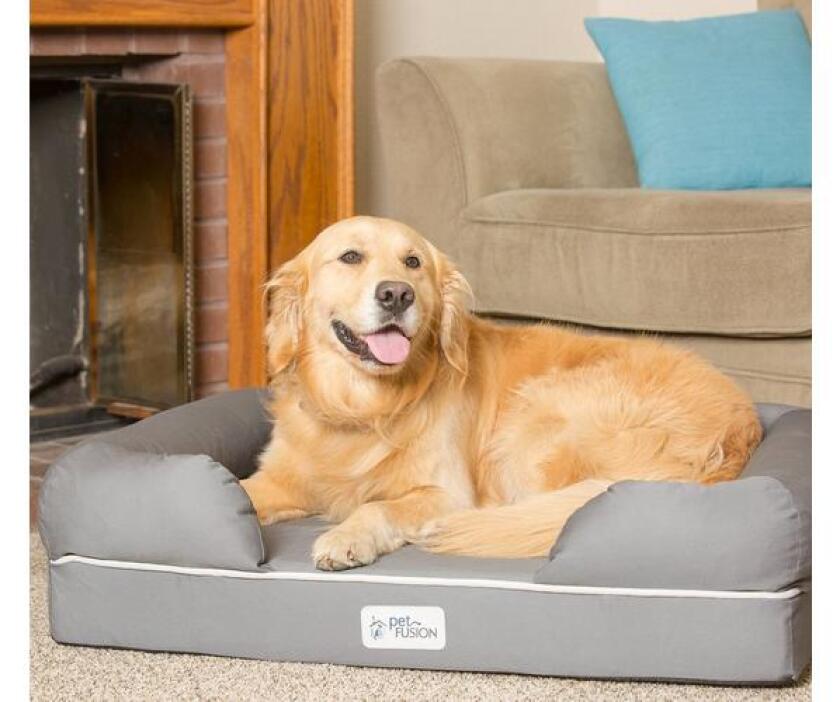 petfusion.jpg