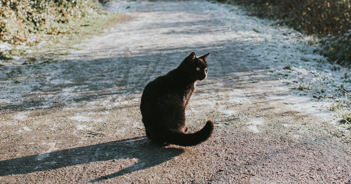 We Fact Checked These 8 Sleep Superstitions | Mattress Firm